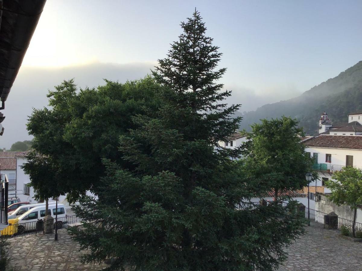 Вилла Vivelorural Casa Tassone, Grazalema - Cadiz Экстерьер фото